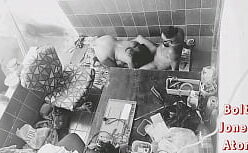 Acompanhates sao vicente metendo na novinha