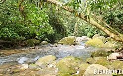 Lola mello fartindo o cu da novinha tarada