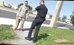 Overwatch gay pornô com dois machos