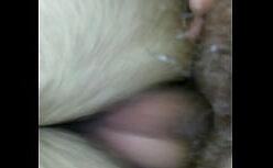 Sexo brasil gays transando com o namorado