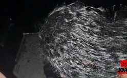 Sexo swing com rabudas gostosas