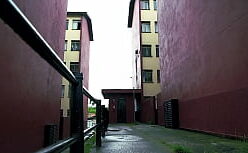 Yuri pelada transando com o macho safado