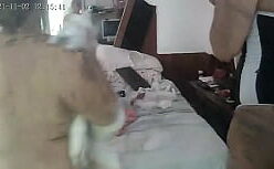 Festinha pornô gratis no bumbum