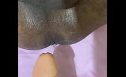 Sambapormo com gata linda transando gostoso