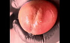 Xvídeos ted fodendo muito o cu do namorado